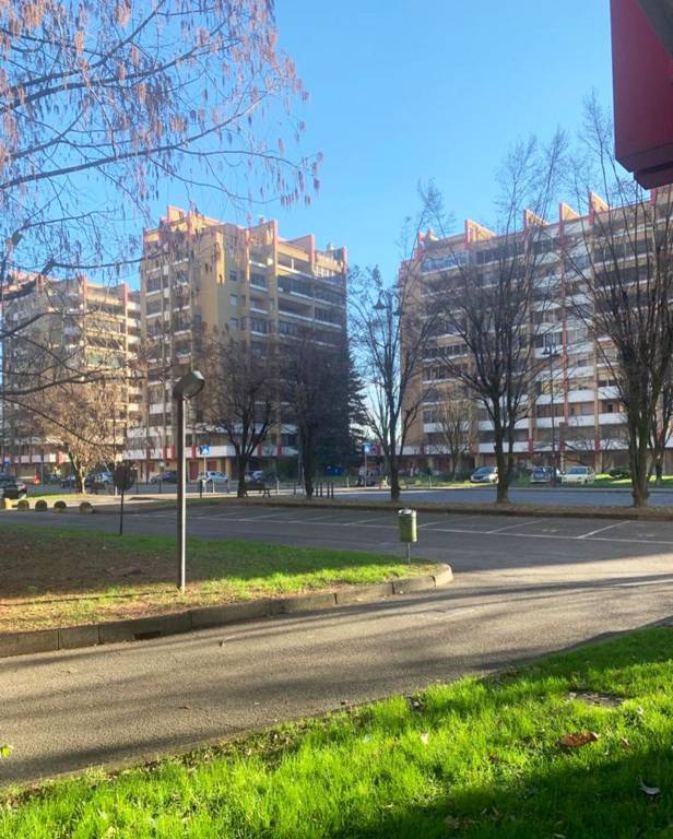 Ampio trilocale con terrazzo-Pieve Emanuele, Via delle Rose - 27